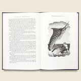 The Old Man and the Sea - Bookstore - STAG Provisions - Home - Library - Book